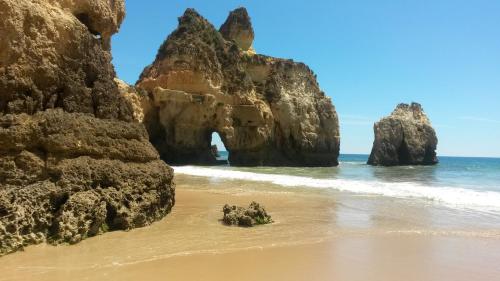 Apartment Palmeiras