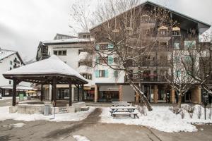 Apartment Petit Dru