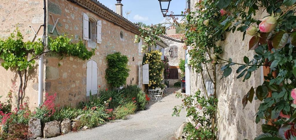 Apartment Petite Ramaline - LCA166 33680 Lacanau-Océan