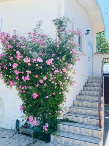 Appartement Apartment QUINTA DE AREIAS 5 Rua Da Cal 4710-912 Crespos Région Nord