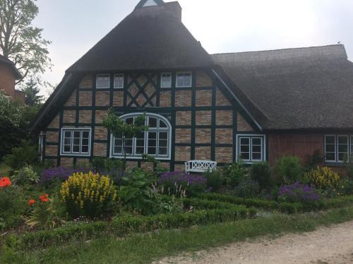 Apartment Reetblick