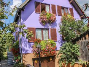 Appartement Apartment Résidence jaune et rose-1  67390 Marckolsheim Alsace