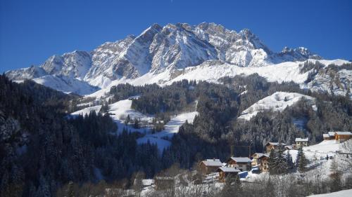 Apartment Residence Les Alpages