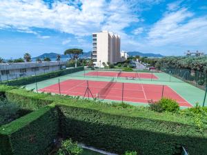 Apartment Royal Palm