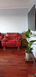 Apartment Santana Gruen 59 mit Aufzug, Balkon und optional E-Bike