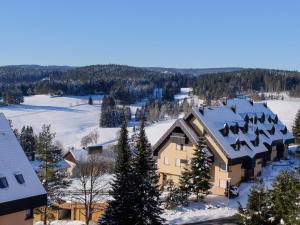 Apartment Schwarzwaldblick-19