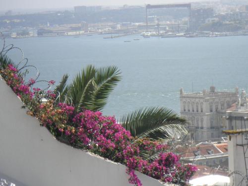 Apartment terrace Castelo S.Jorge