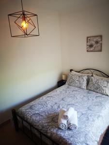 Apartment - The Little Gem