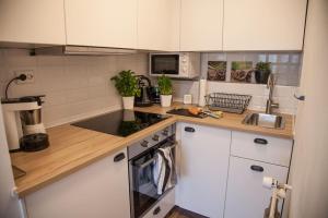 Apartment Titisee mit Netflix Wii U & Tiefgarage