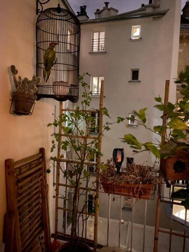 Apartment with terrace in Paris center - MONTORGUEIL district