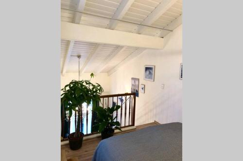 Apartment Zum goldenen Löwen inkl. Parkplatz & WLAN