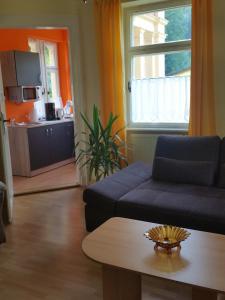 Appartement Apartmenthaus Menge 13 Badallee 01814 Bad Schandau Saxe