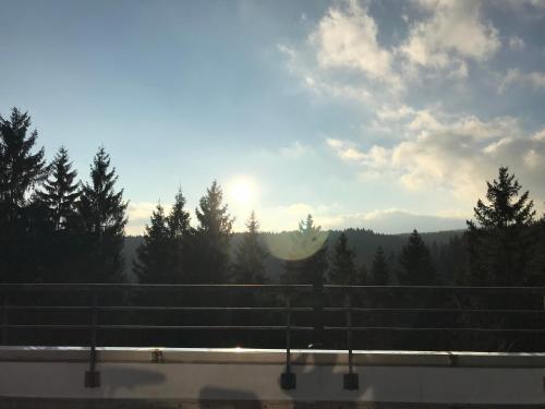 App 647 Panoramic Hohegeiß Terrassenhaus
