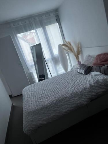 Apparemment cosy avec place de parking gratuit