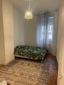 Appart 3 ch 6 pers+ garage plein centre