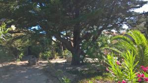 Appart 4-6 pers idéalement situé en bord de méditerranée