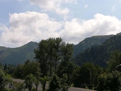 APPART 41m2 3* 2 GRANDS BALCONS VUE SUR LE SANCY