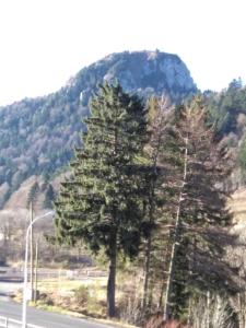 APPART 41m2 3* 2 GRANDS BALCONS VUE SUR LE SANCY