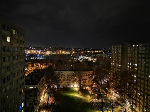 Appart 50m2 - 5 min Tête d'Or