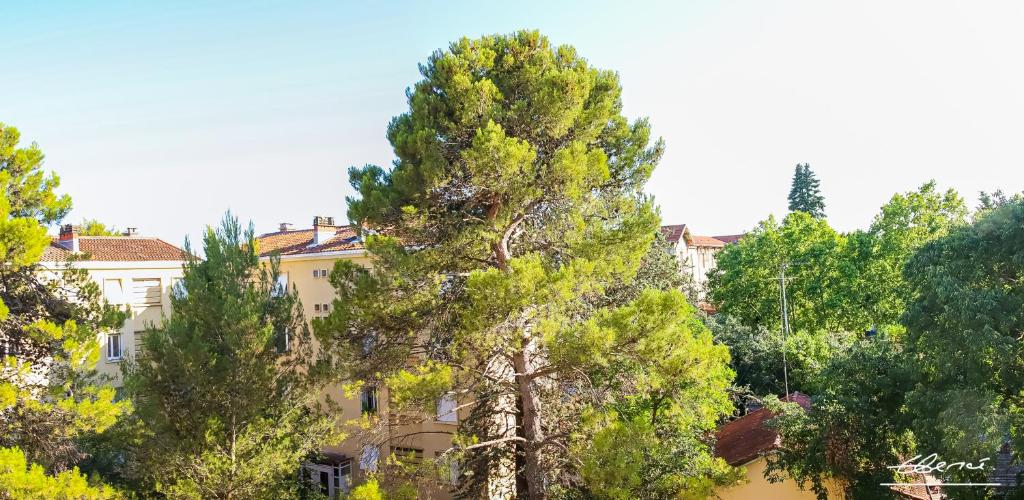 Appart à la cime des Pins 136 Rue René Laennec, 34090 Montpellier
