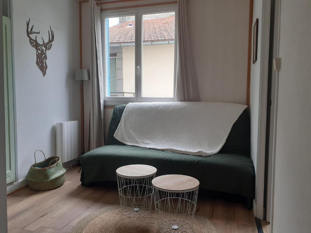 Appart agréable, fonctionnel ! Proche commerces ! 42 Rue de Kembs, 63150 La Bourboule