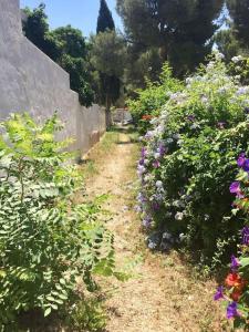 Appart Bianca T2 - Terrasse - Parking - Calme - 1mn de la mer