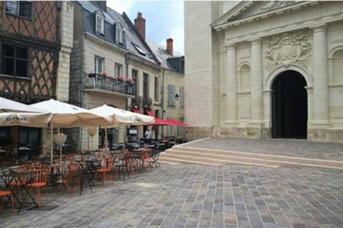 appart centre ville bords de loire