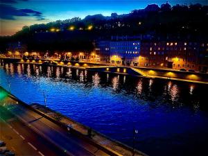 Appart clim vue d’exception quai saone presqu’île