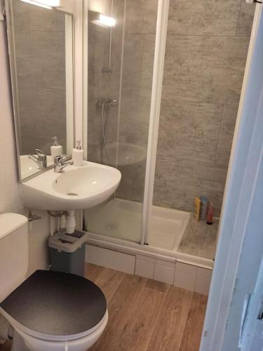 APPART COSY HYPER CENTRE TOUT CONFORT 2PERS WIFI