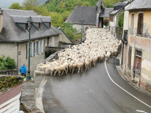 appart dans la vallée D'Aure, 2 à 6 personnes, calme, spacieux aux portes de St Lary