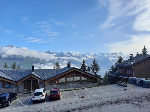 appart entierement renové les coches - la Plagne