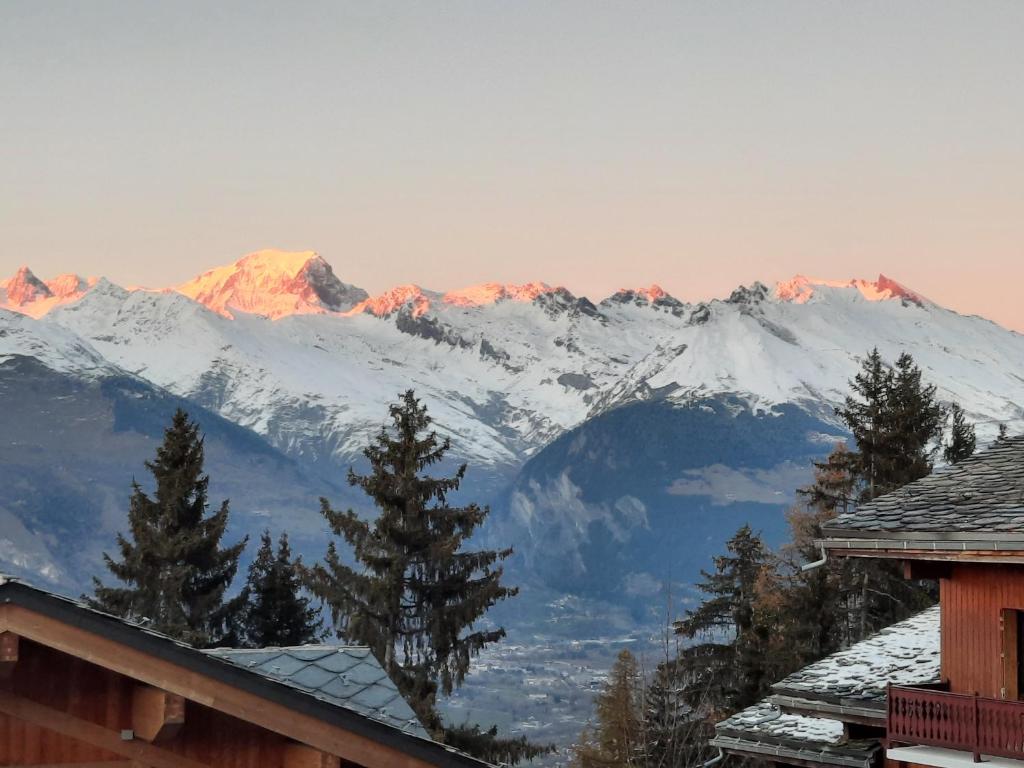 Appartement appart entierement renové les coches - la Plagne LE HAMEAU DU SAUGET - RESIDENCE 4DE- LES COCHES 73210 Bellentre