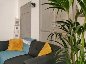 Appart Hotel Centifolia - Place aux aires