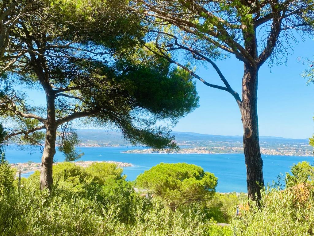 Appartement 1 er Etage , St Goustan Port Auray 56400 Auray