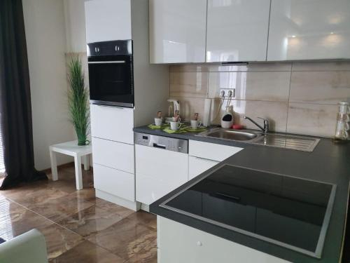 Appartement 1001 Deluxe