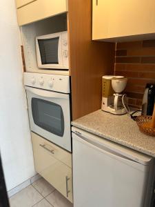 Appartement 2/4 personnes, Résidence les Mélèzes, Saint-Chaffrey