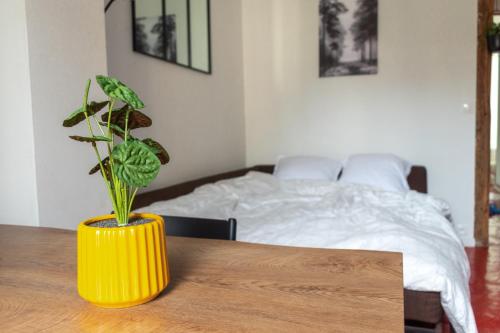 Appartement 2 pièces chic et cosy à Paris