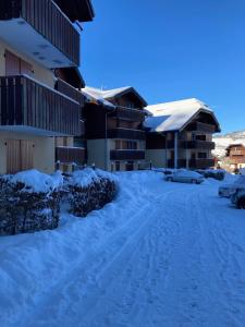 Appartement 2 pièces pieds des pistes terrasse face à la montagne