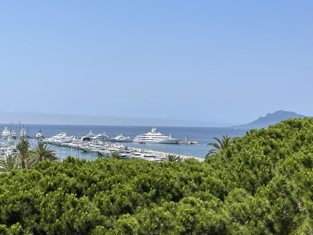 Appartement 2 suites Cannes Croisette 4 Boulevard Alexandre III, 06400 Cannes