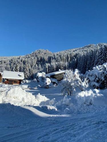 Appartement 24m² à la montagne