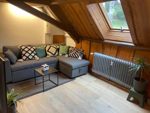 Appartement 3 pieces centre du Hohwald # 201