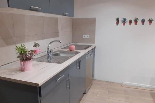 Appartement 3 pièces dans villa individuelle