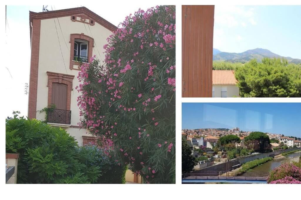 Appartement 300 m plage et port 22 Rue Joliot Curie, 66650 Banyuls-sur-Mer