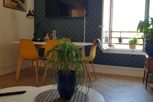 Appartement 300 m plage et port