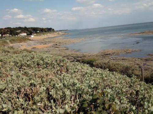 Appartement 40 m2 en rez de jardin