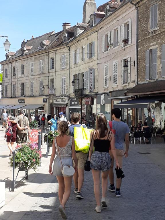 Appartement Appartement 48m2 pour 6 personnes au centre ville historique avec parking gratuit et une borne de recharge pour voiture à 10 metres 2 Ruelle Tour du Magasin 89200 Avallon