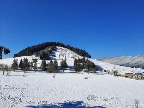 Appartement 5 pers entièrement rénové dec 2022 classé meublé de tourisme 3 étoiles emplacement unique a Autrans prestations de qualité