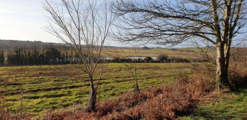 Appartement 50 m2, Calme, Marche à pied, Proche mer