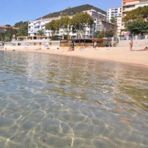 Appartement Appartement 50m2 pied dans l’eau 1 Rue Davin 20000 Ajaccio Corse