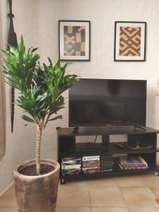 Appartement 55 m² tout confort
